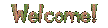 welcome.gif (21145 bytes)